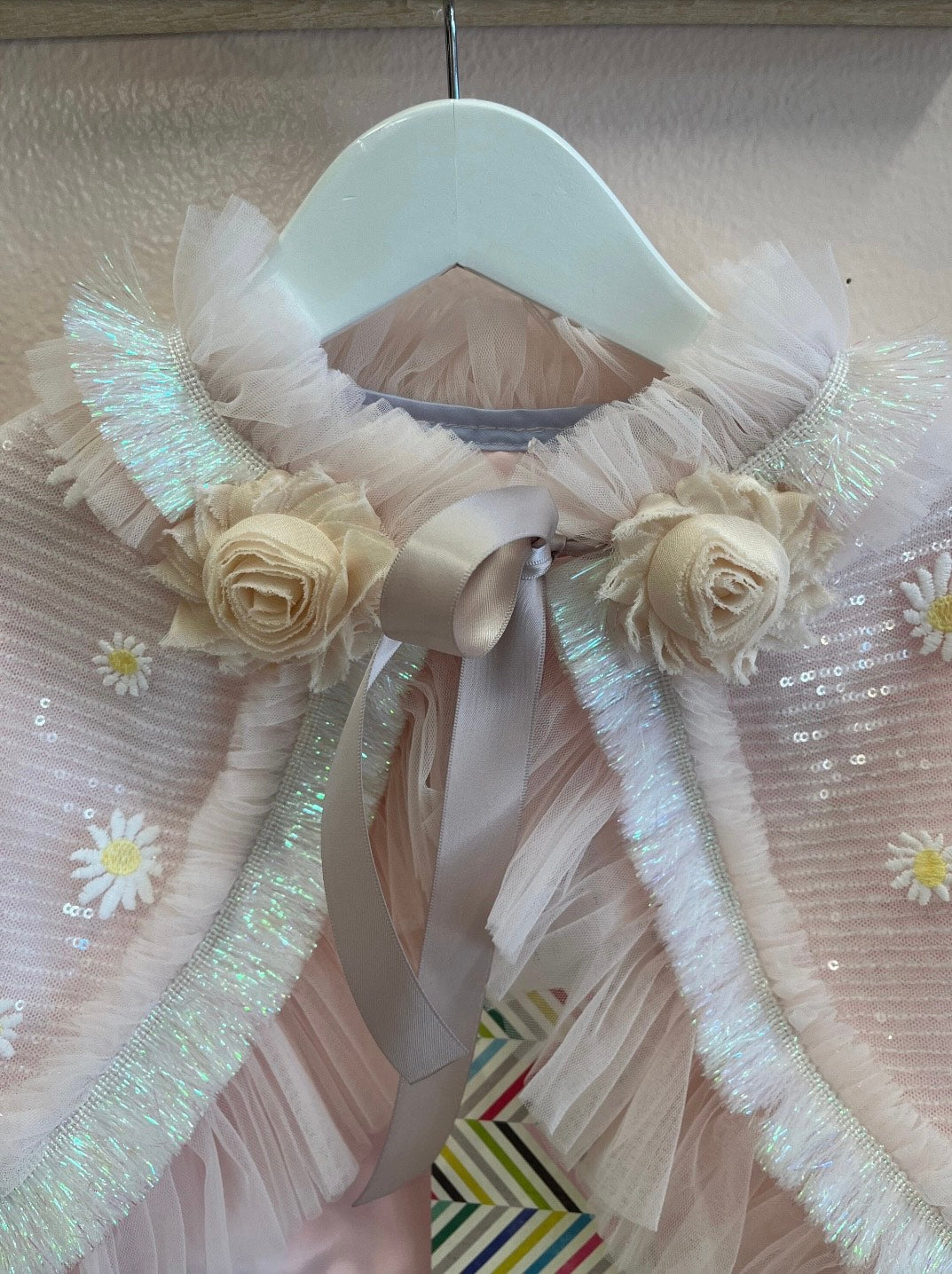 069 Photo Prop